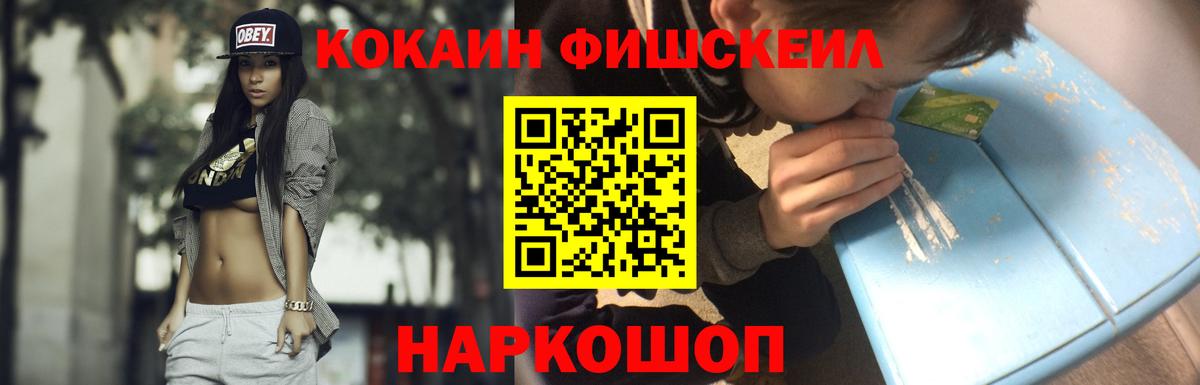 Cocaine Fish Scale  КОКАИН Fish Scale  как найти закладки  Вход с VPN  Новошахтинск 