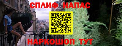 сатива Сланцы