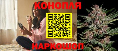 тгк Ставрополь
