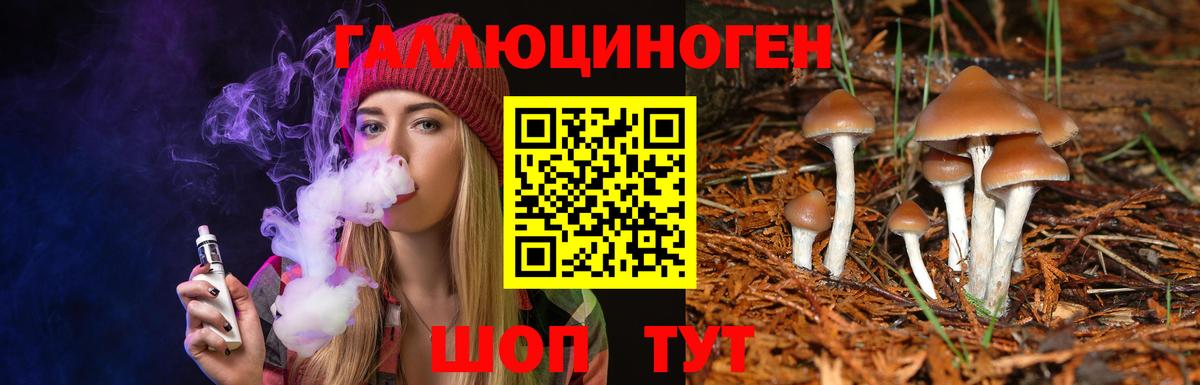 Галлюциногенные грибы MAGIC MUSHROOMS  Вход с VPN  Новошахтинск 